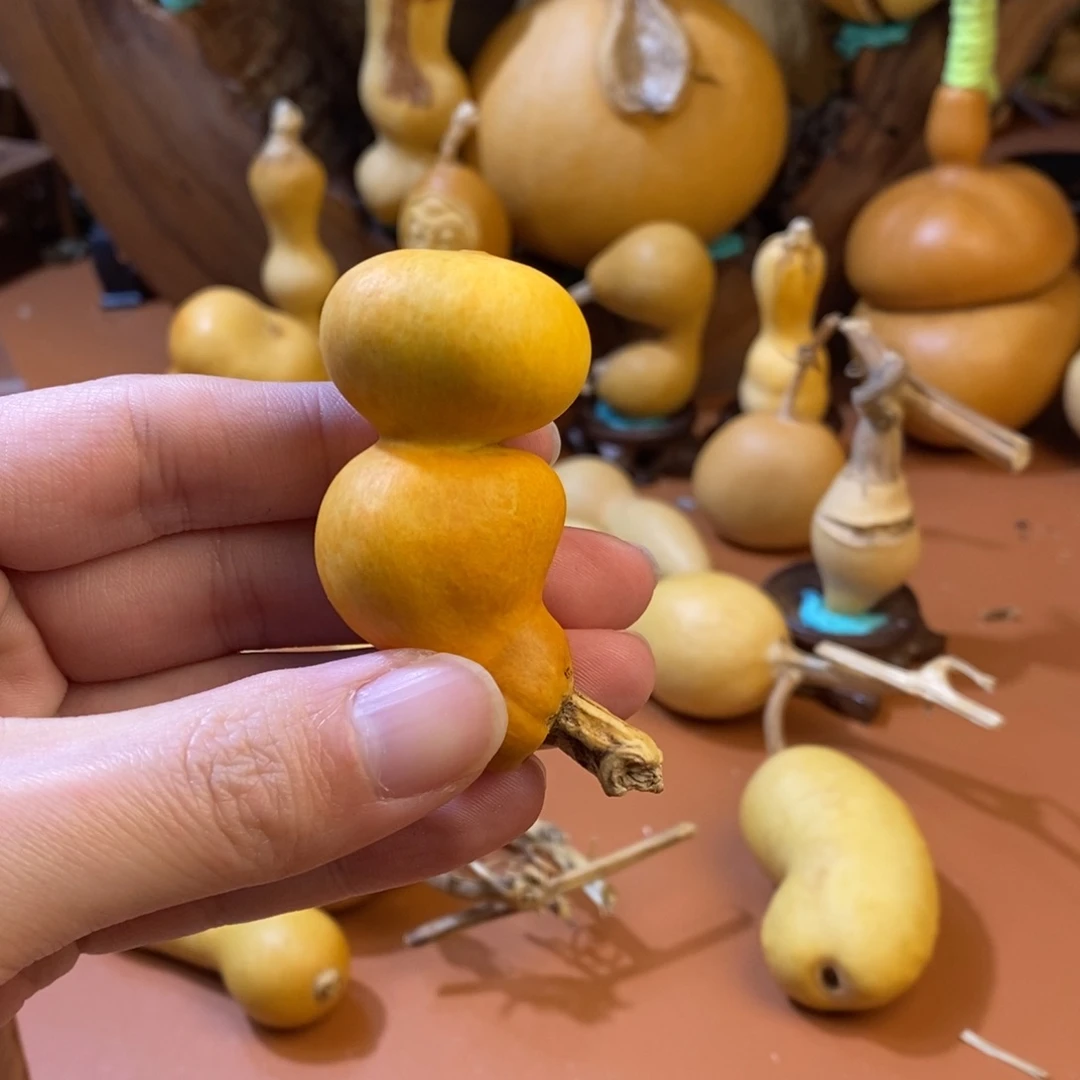 i***e教练教练咯哦哦哦哦咯