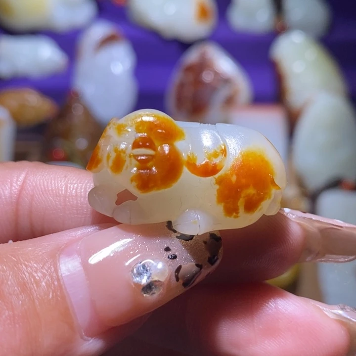 和田玉颈饰未镶嵌袁*龙