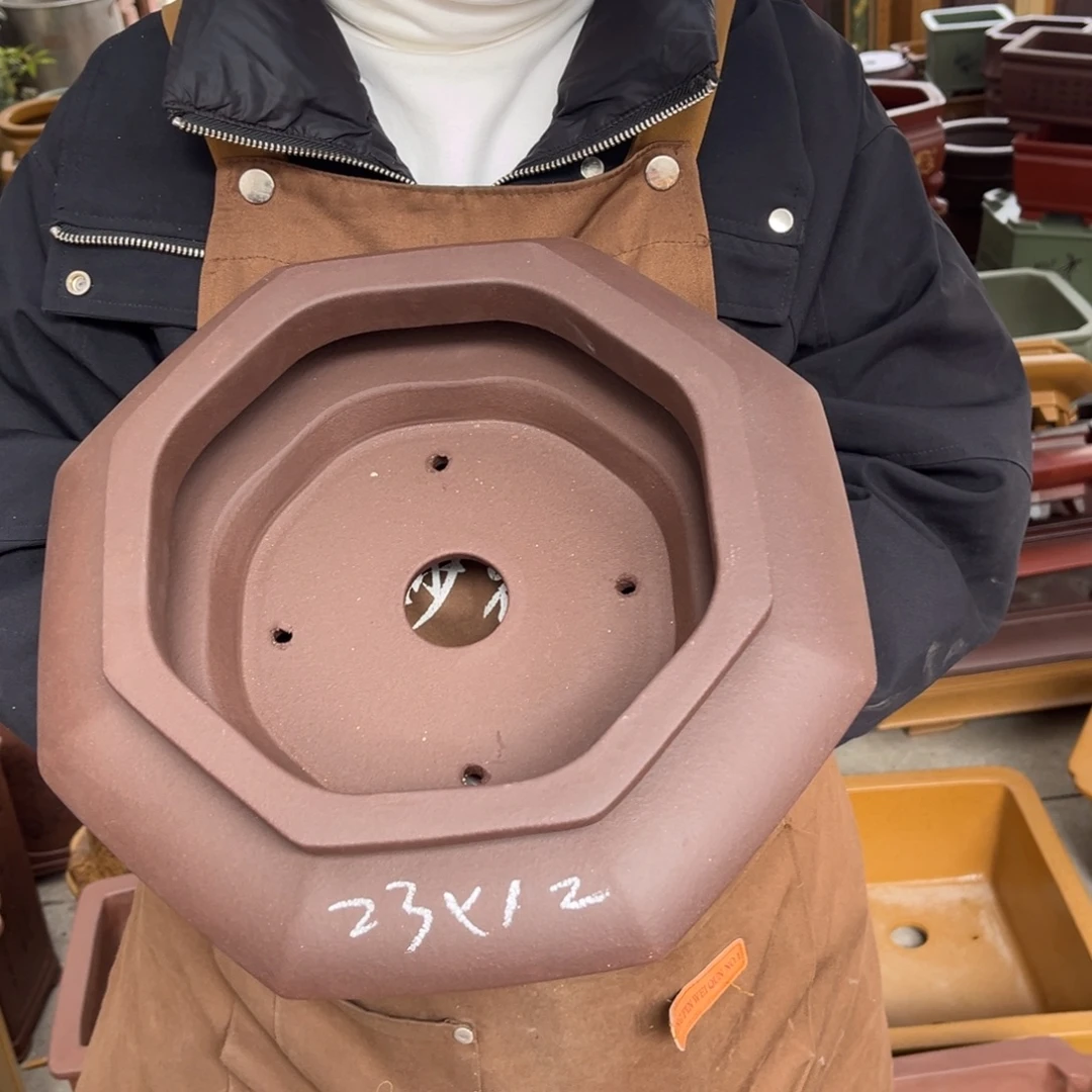 花盆紫砂盆景艺术