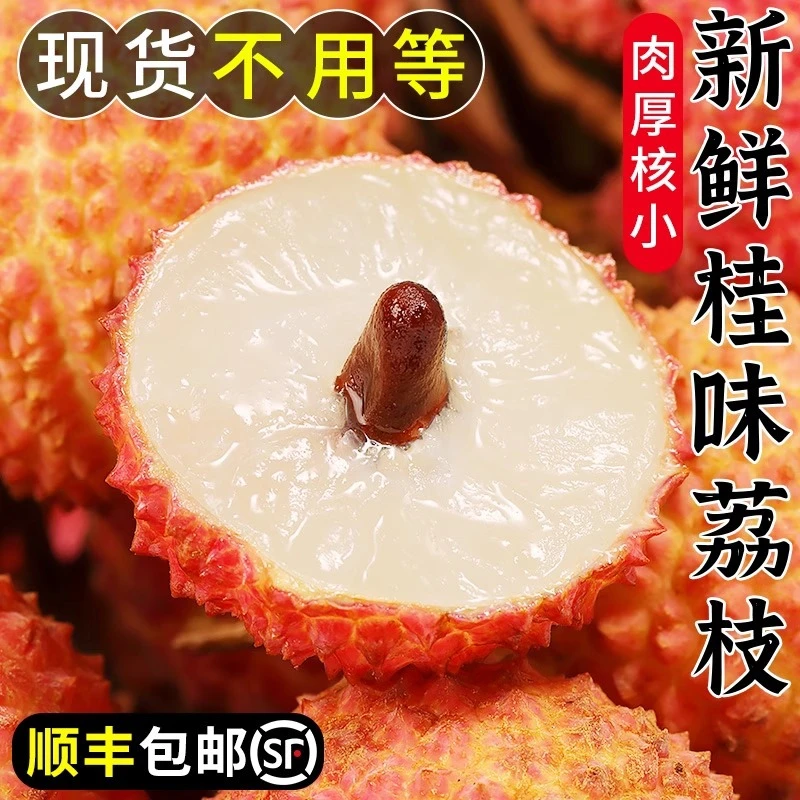 广东（省内）从化桂味荔枝新鲜水果整箱大果现摘鲜荔枝应季顺丰包邮