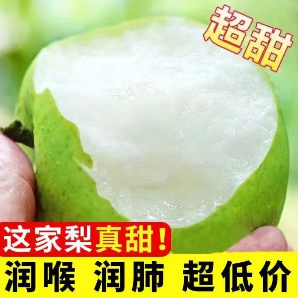 现摘现发湖北翠冠梨爽口皮薄青皮梨子蜜梨当季脆甜多汁新鲜水果