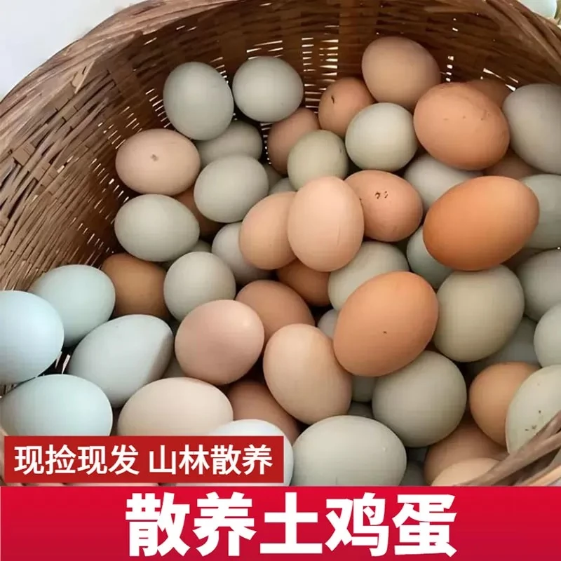 (体验装)25枚粉绿壳蛋高山散养土鸡蛋飞鸡蛋现捡现发