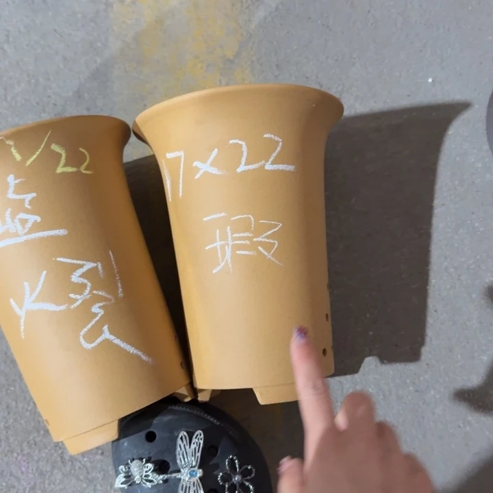 高度22口径17 微瑕 紫砂
