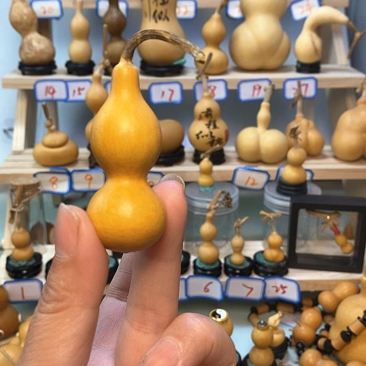 娃***鼠直播间手把小葫芦