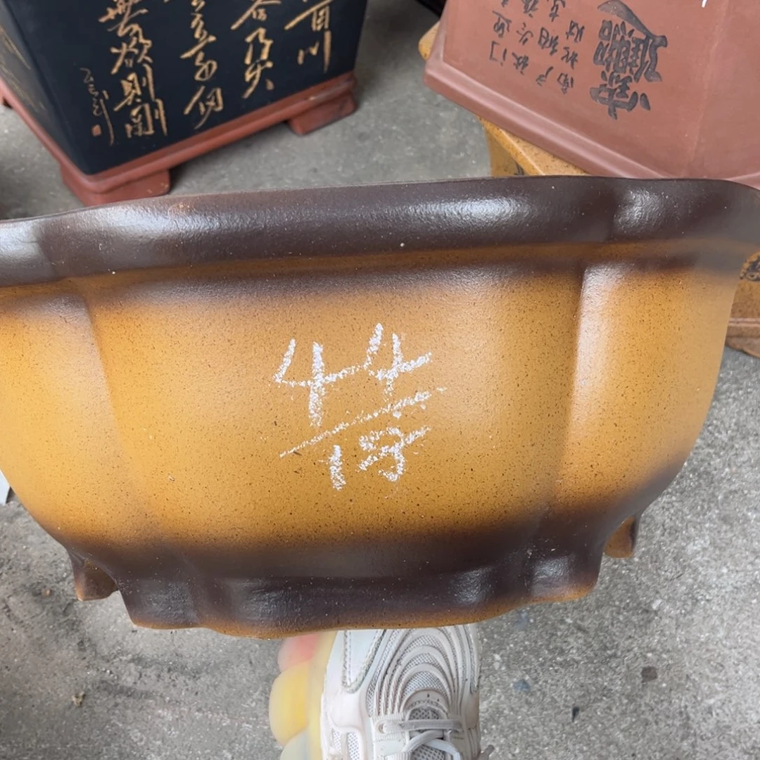 紫砂花盆盆景艺术