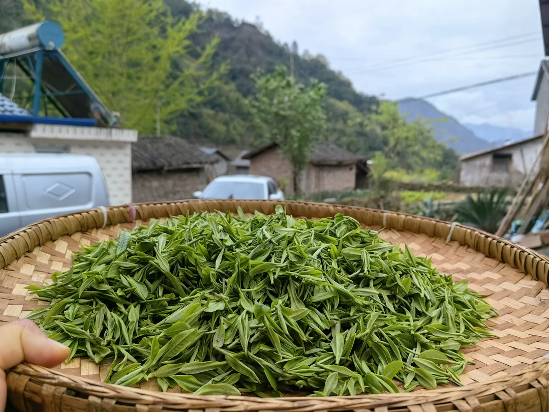明前绿毛峰素茶2025年新茶炒青绿茶散装茶叶自定义称重，有运费险