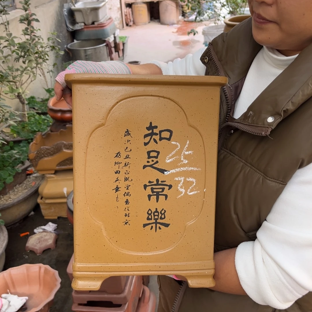 花盆紫砂盆景艺术