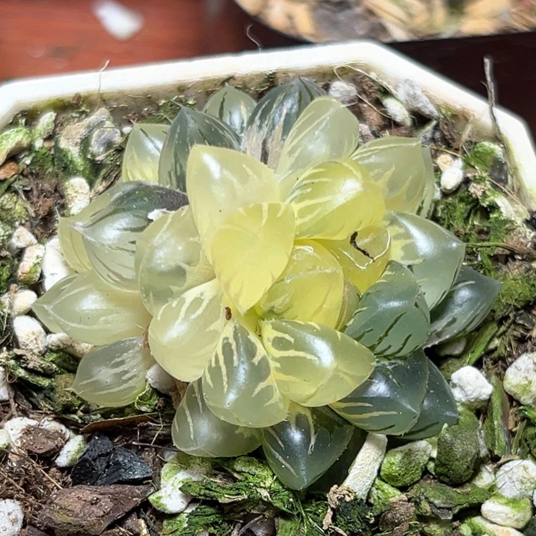 恭喜发财大吉大利756