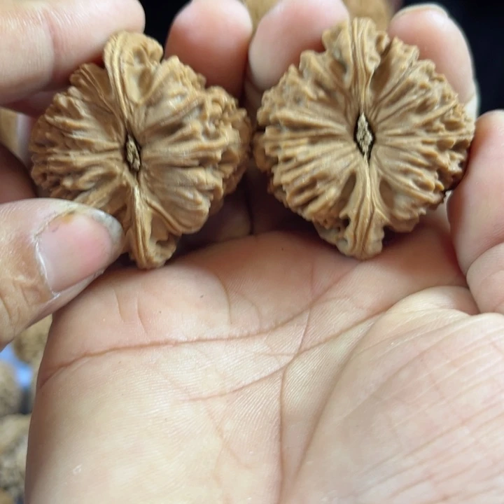 无花朵疯****3南疆石核桃