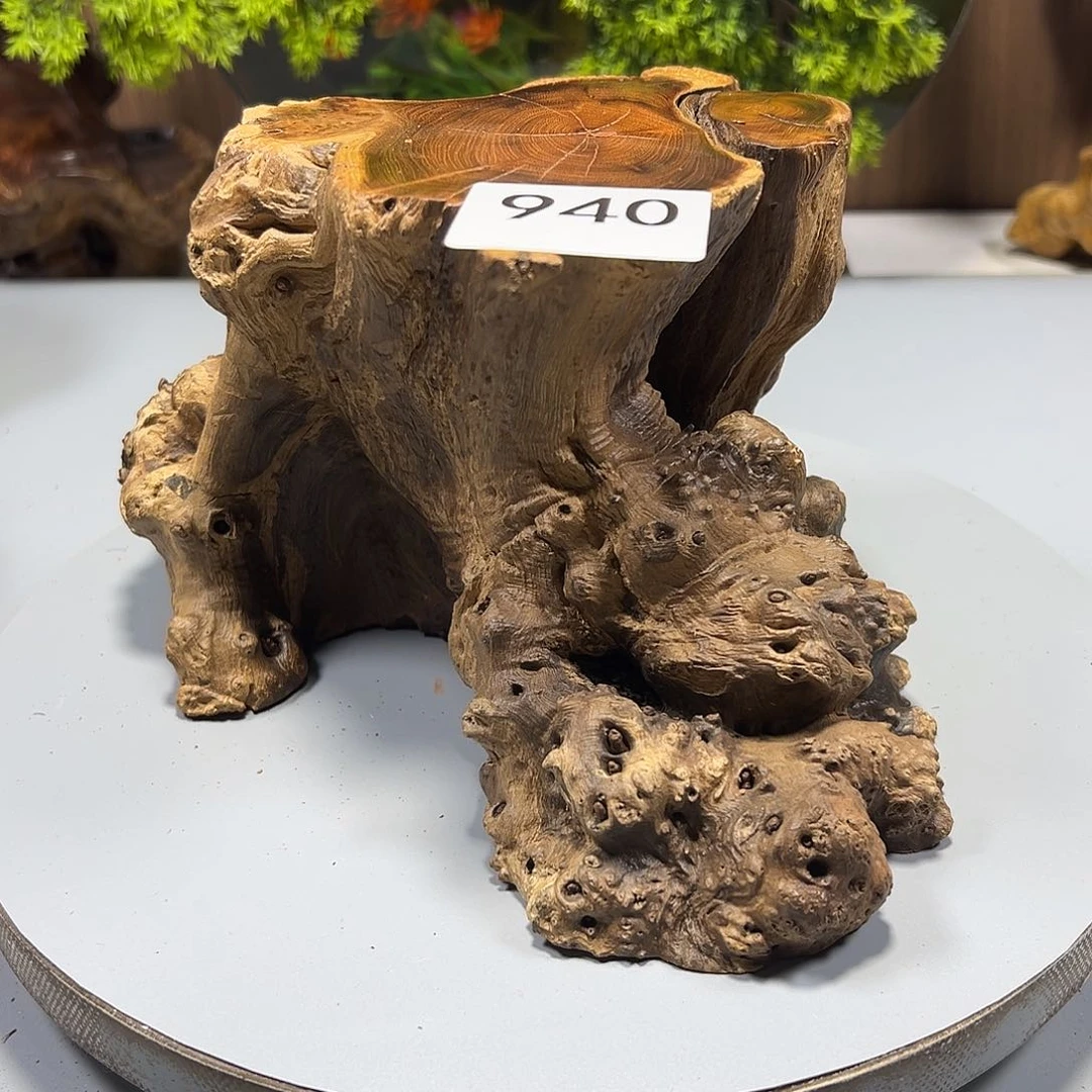 大果紫檀（缅甸花梨）@****@