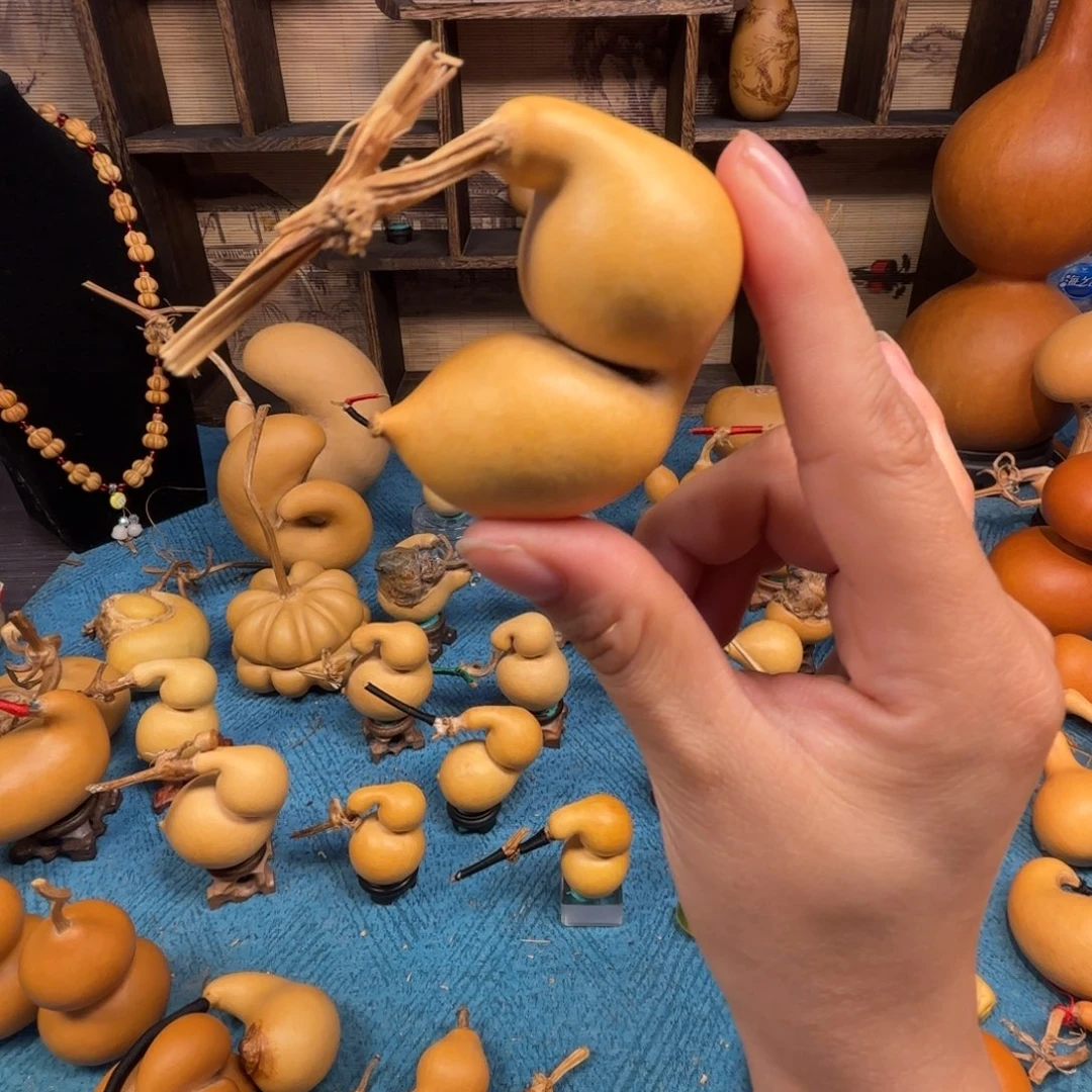 北***ᶜ精品蚂蚁嘎嘎漂亮