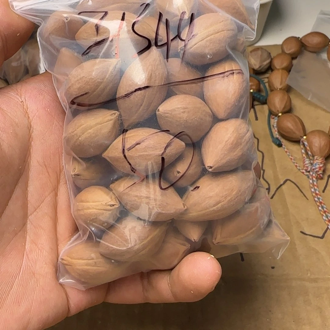 【闪购商品】橄榄核手串/手链2****31111211111