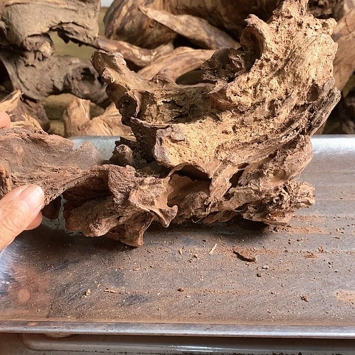 花梨木类小***鱼海楠花梨