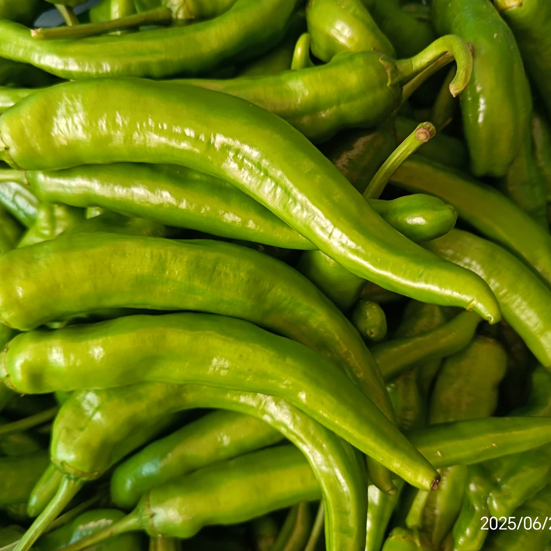新鲜采摘现发皮薄肉脆香辣土辣椒多种辣椒可选