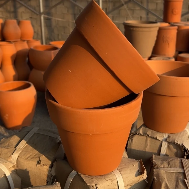 红陶20×17 拍一发二