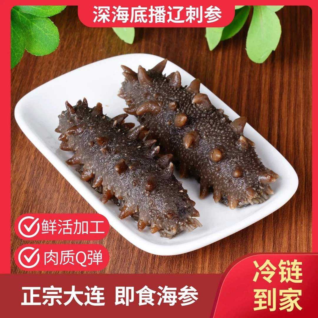 聚参祥精品优选大连深海底播冷冻即食辽参海参滋补佳品500g6-12头