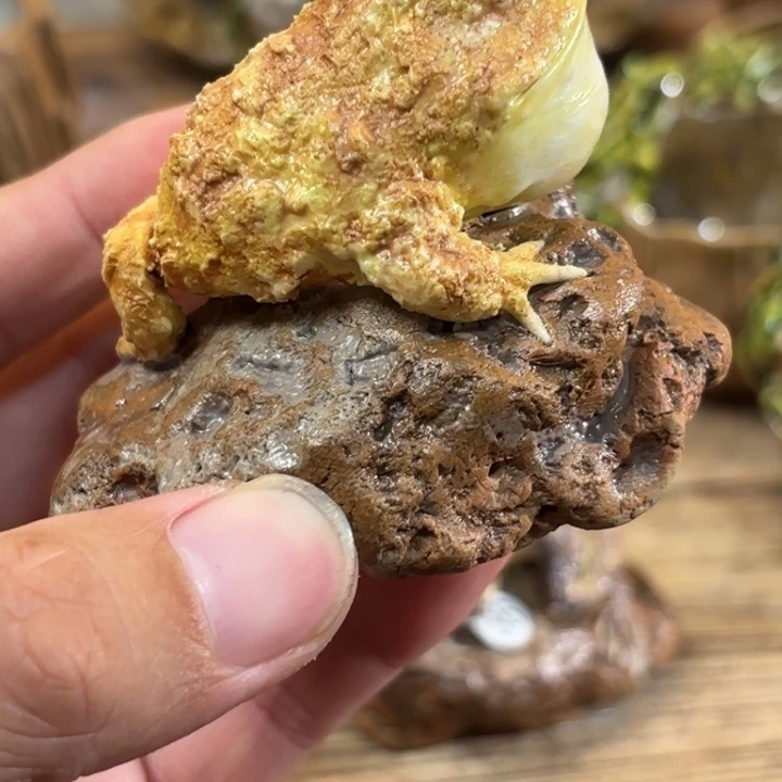 重***鸭尚上陶艺作品祝老师陶艺作品