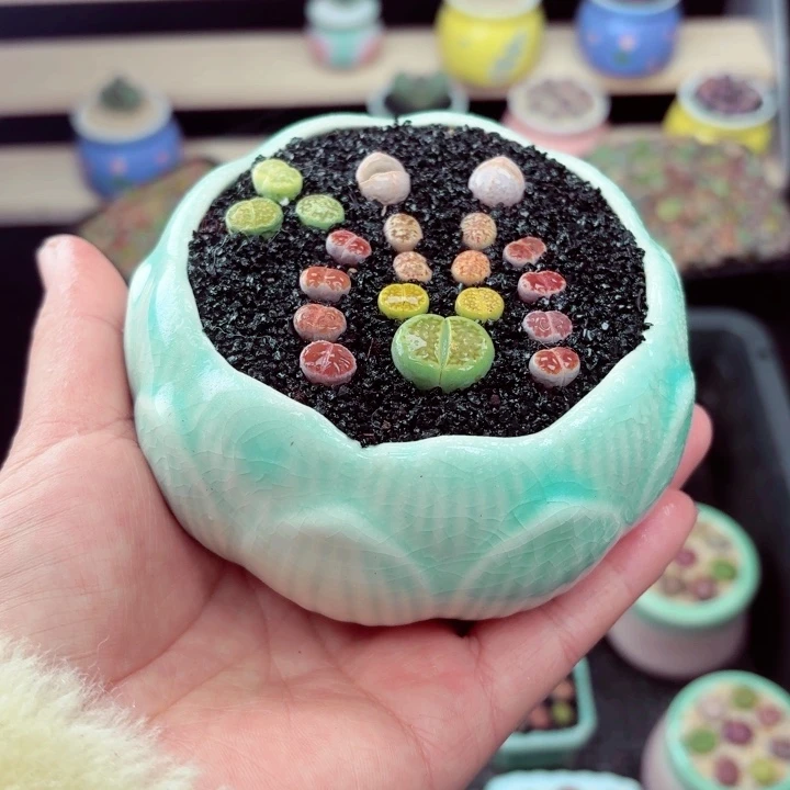 624零下地区记得拍保温箱