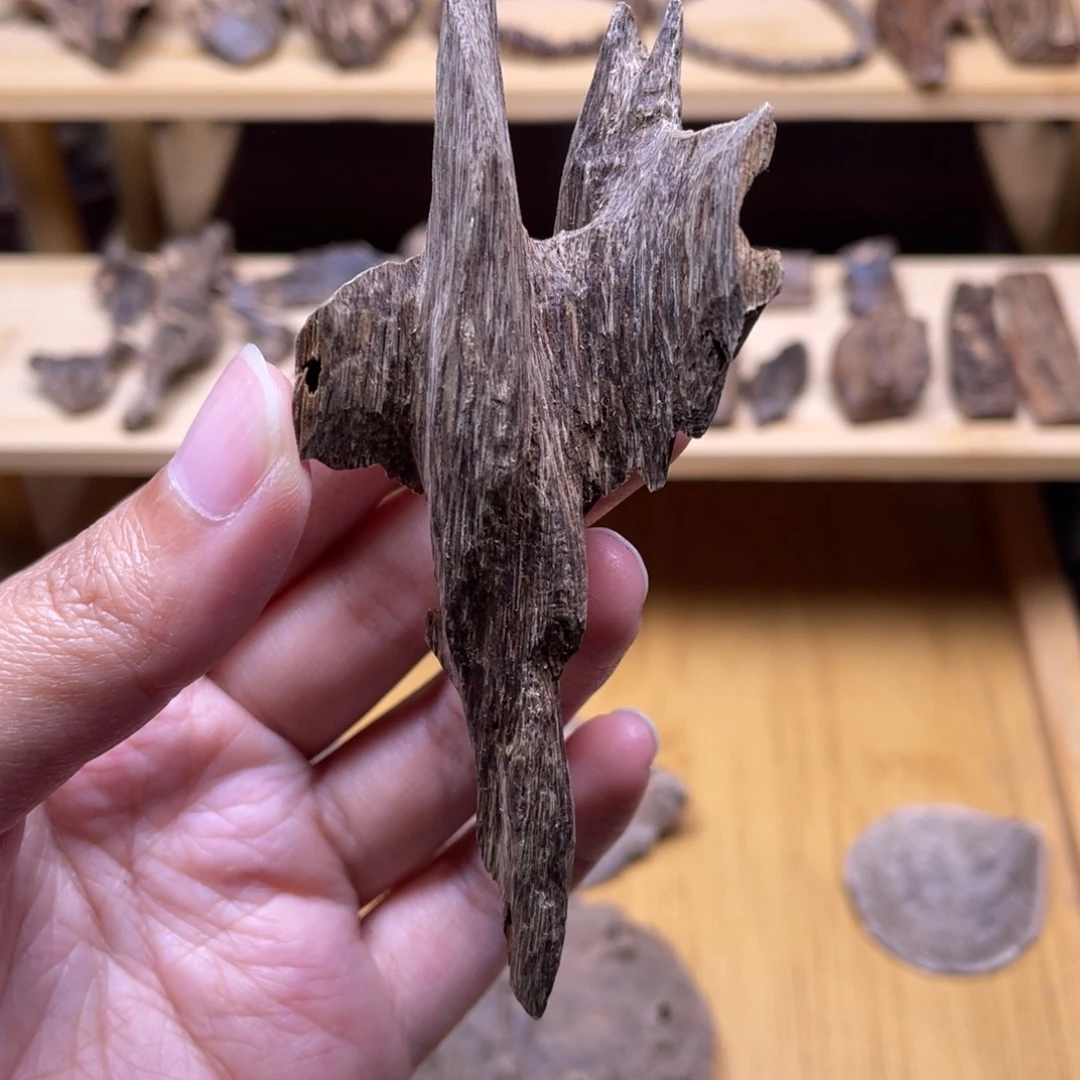 4.4克海南大山树心虫漏