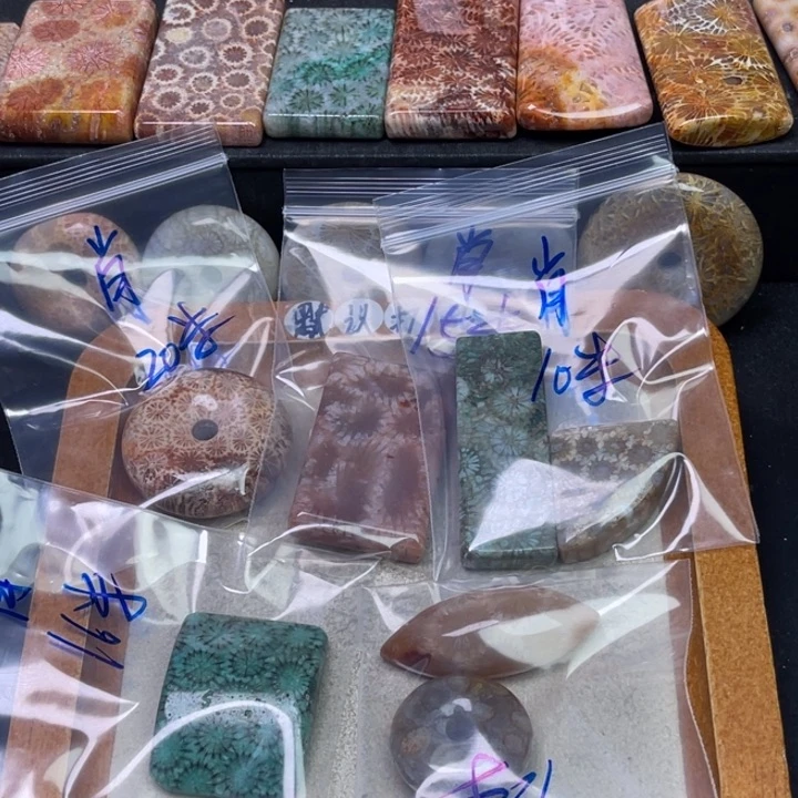 未镶嵌吊坠硅化珊瑚（珊瑚玉）