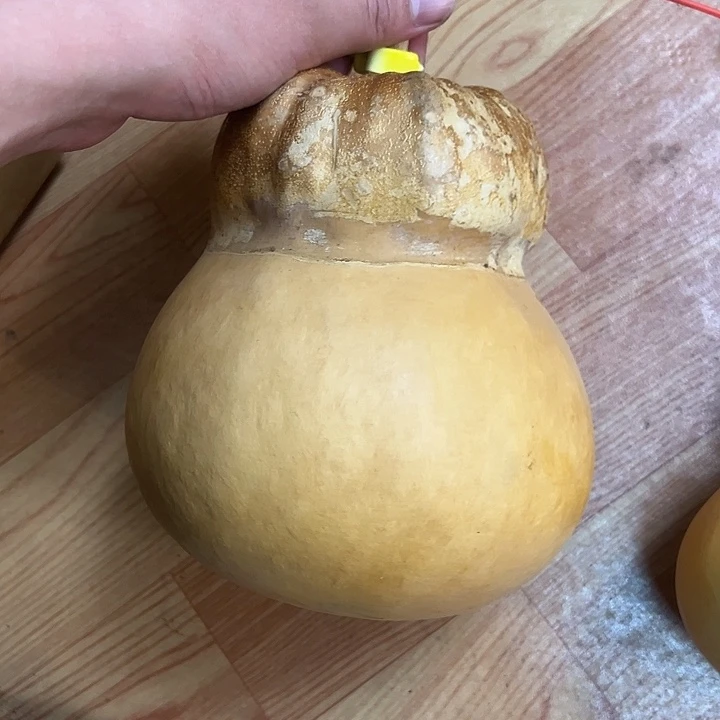 时***®葫芦好葫芦葫芦葫芦