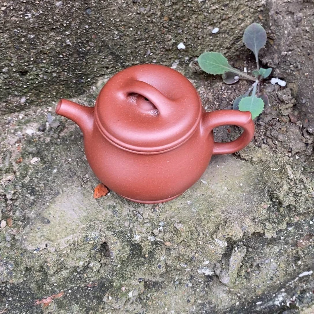 茶壶紫砂cghjjkkkk