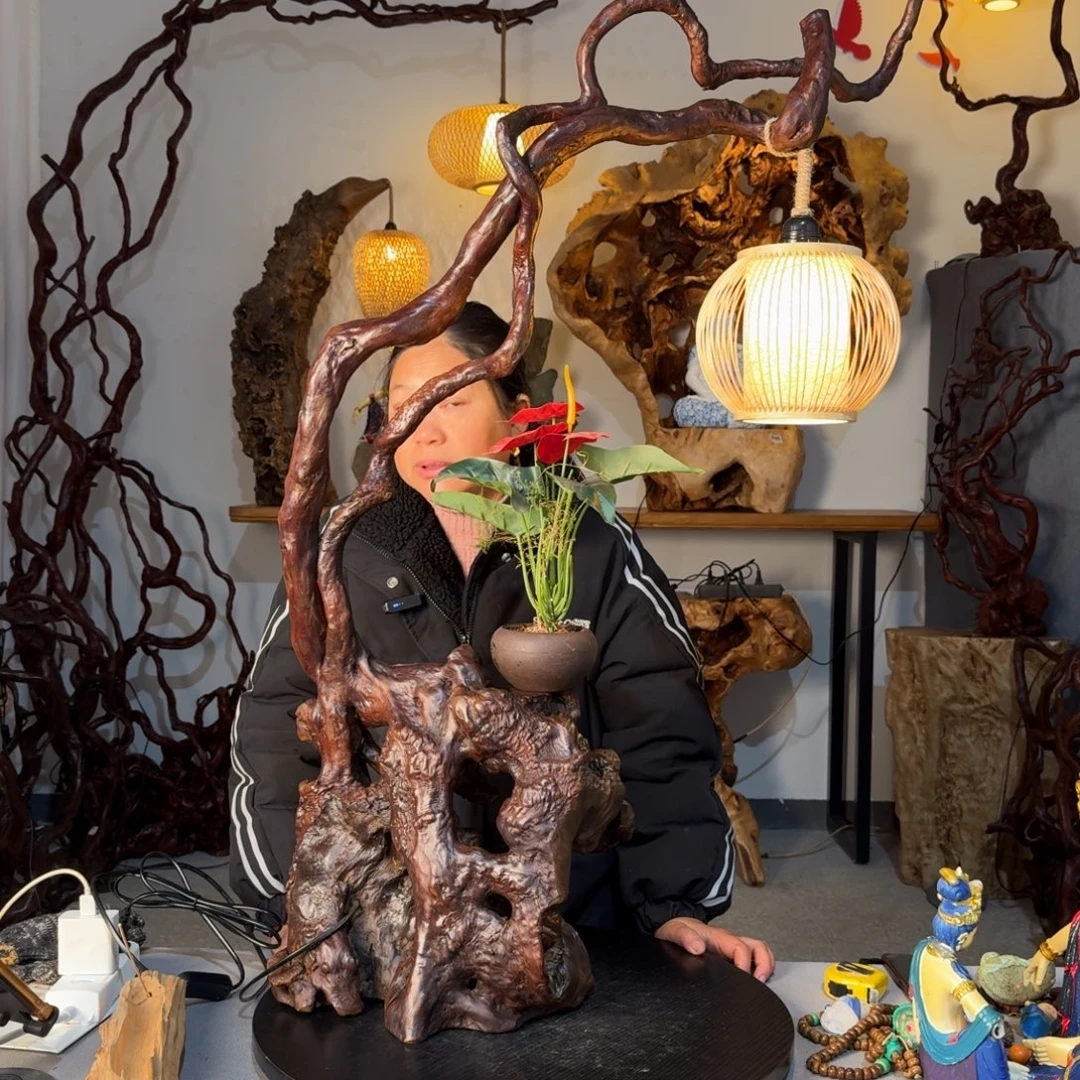 酷***呆香榧木重中之重就是999999