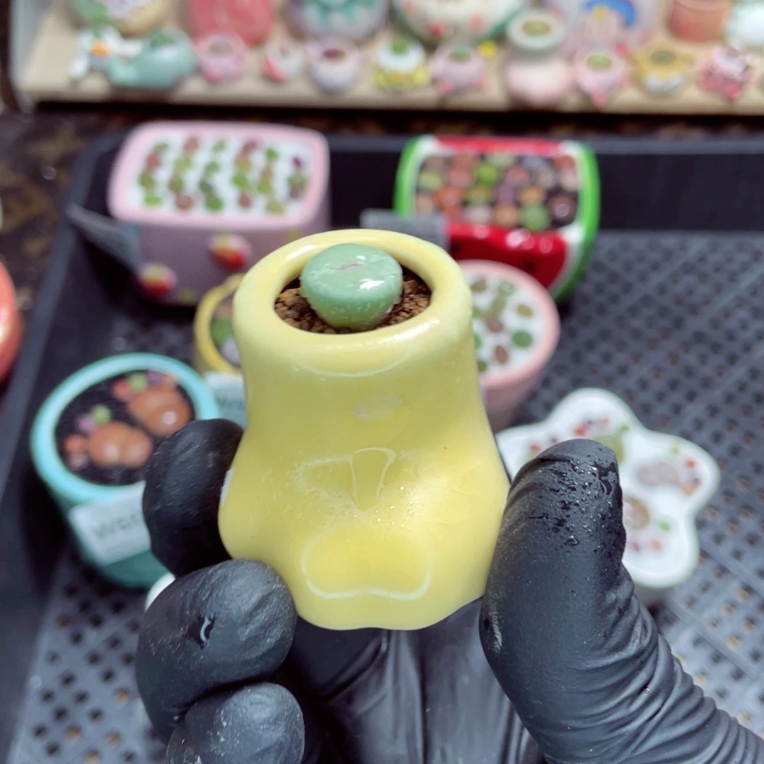 夜间零下地区拍保温箱w6035