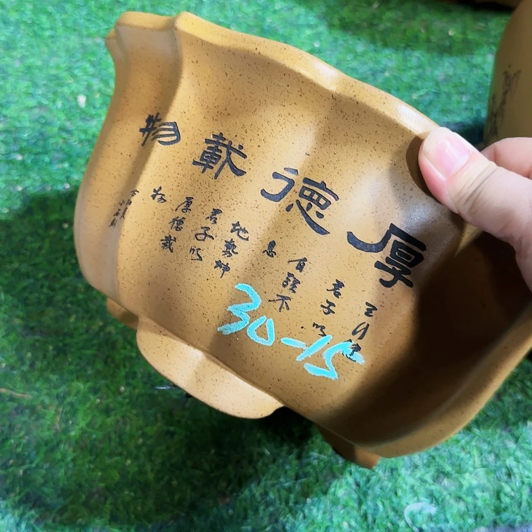 花盆紫砂紫砂花盆