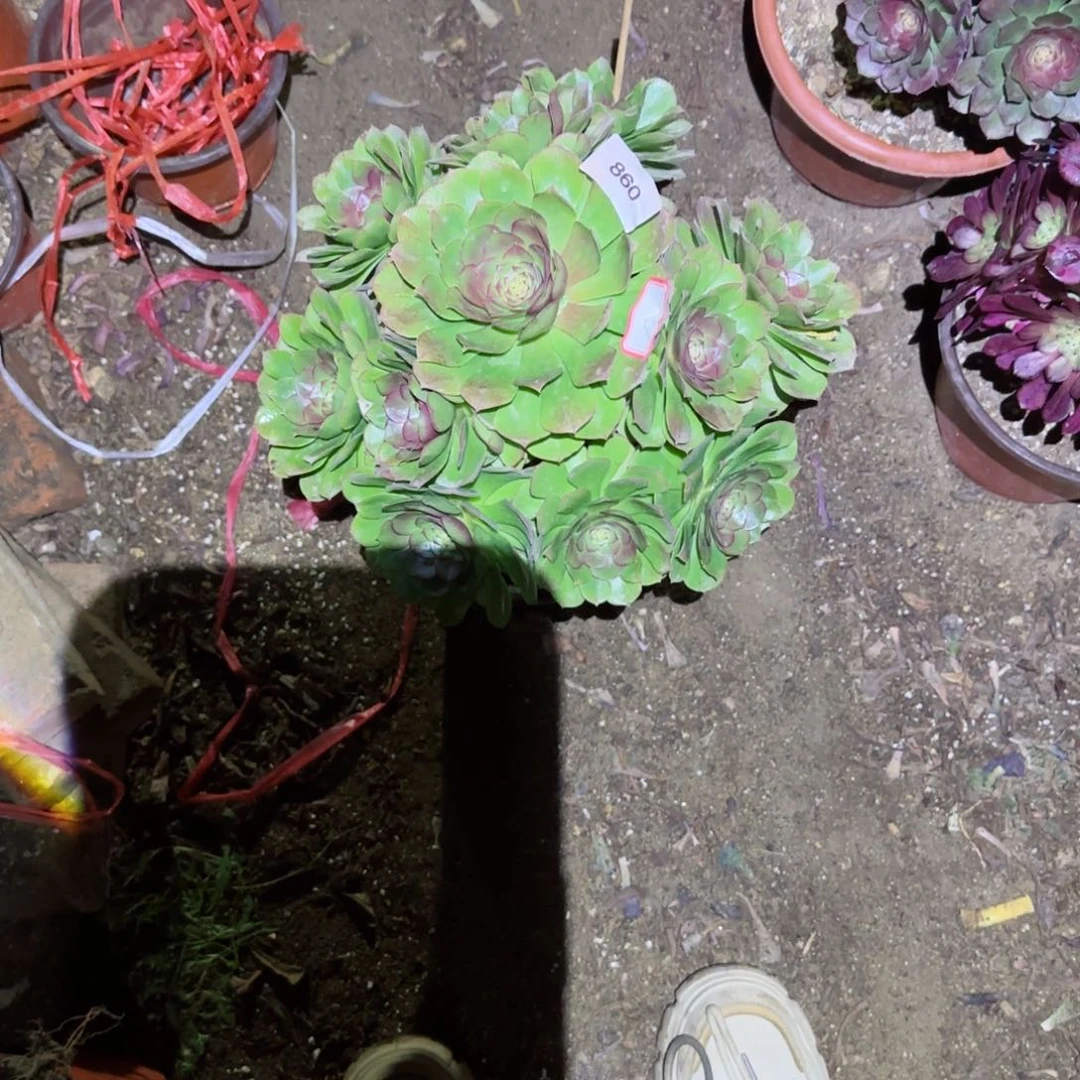 梵**辰哈哈哈哈哈哈哈哈