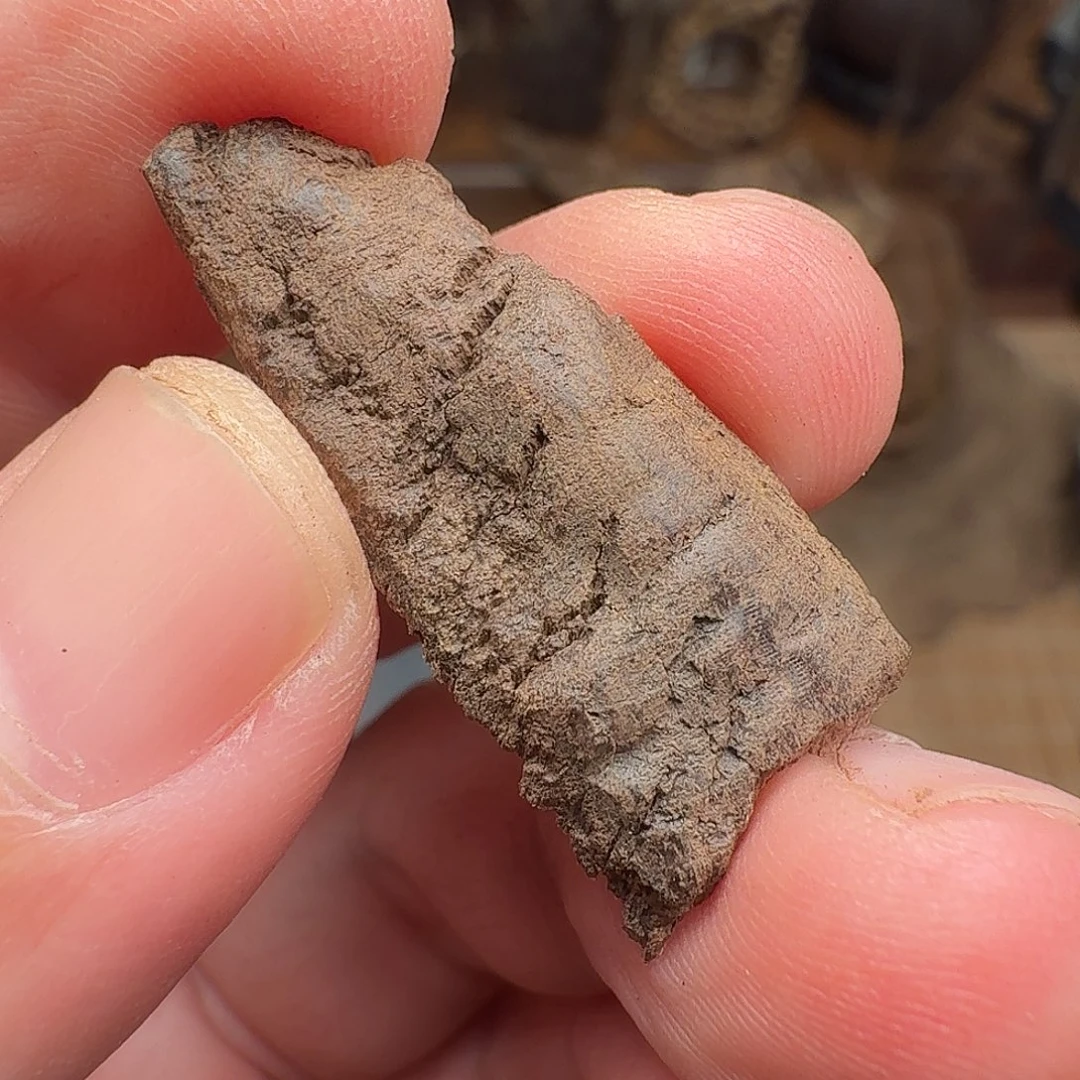 沉香沉水缅甸密支那0.8g