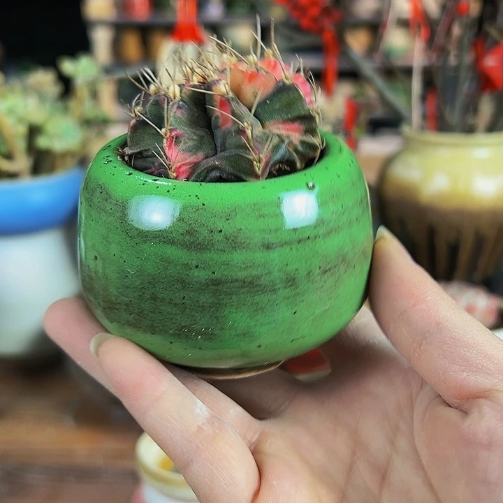 景德镇陶瓷2单包邮