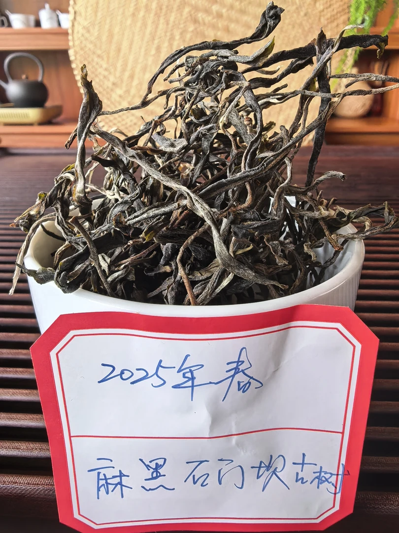 普洱茶2025年麻黑石门坎古树春