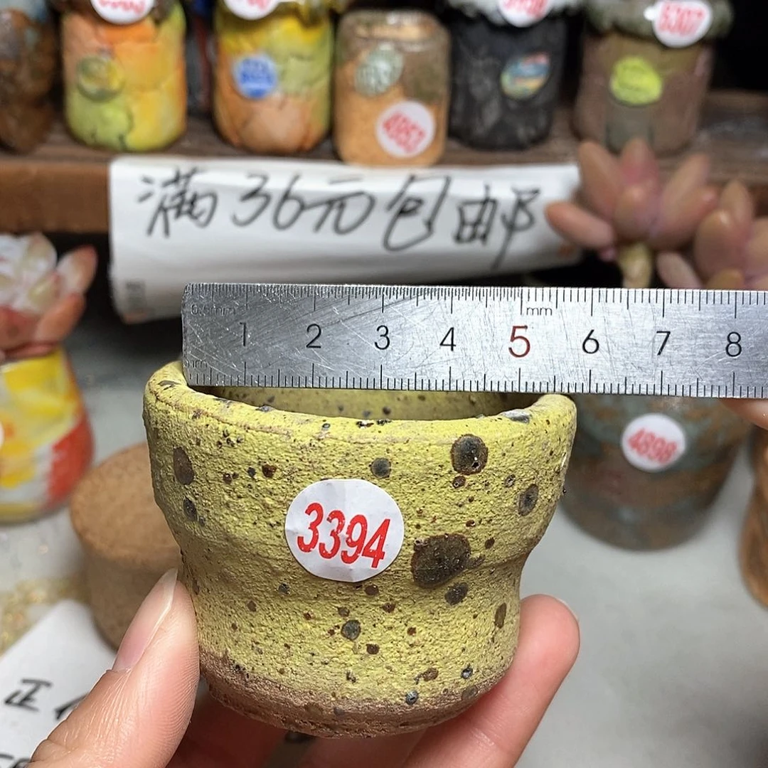 红陶拍5送一个小