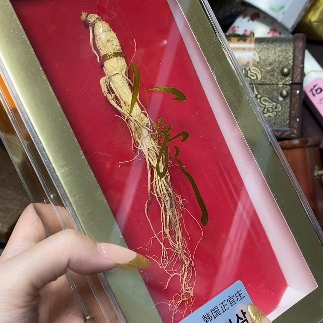 紫砂哈哈哈哈哈哈哈哈哈