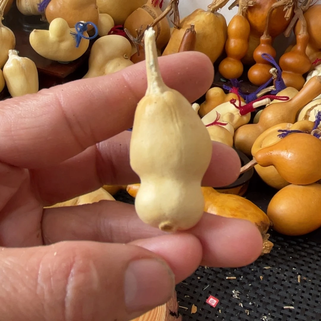 无***雨葫芦哈哈哈哈哈哈哈哈哈哈