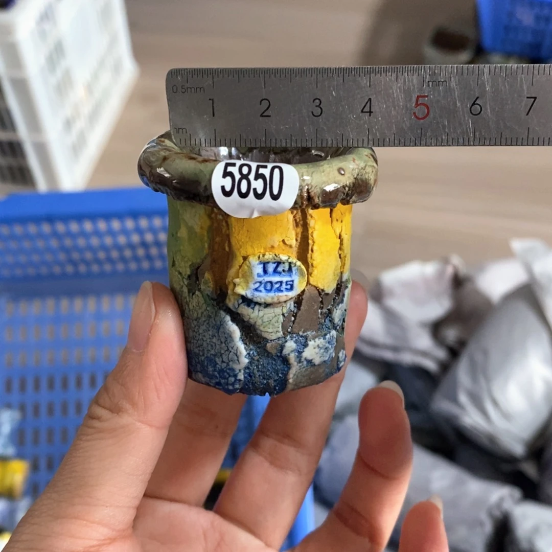 拍3送一个小礼物