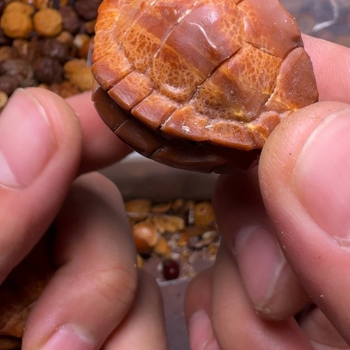 手串橄榄核你的电话