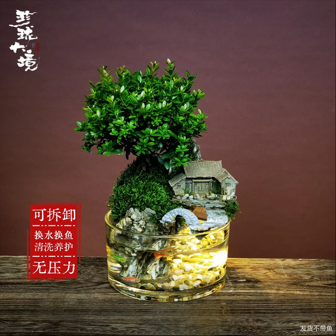 [唱晚Mc]小叶赤楠创意真绿植苔藓室内国风禅意摆件带灯鱼缸15*8cm