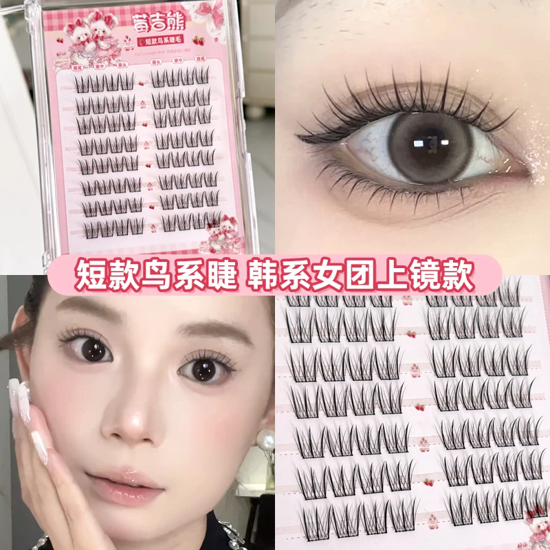 莓吉熊短款鸟系假睫毛新手单簇纤长卷翘分段式柔软细梗韩系翘睫毛