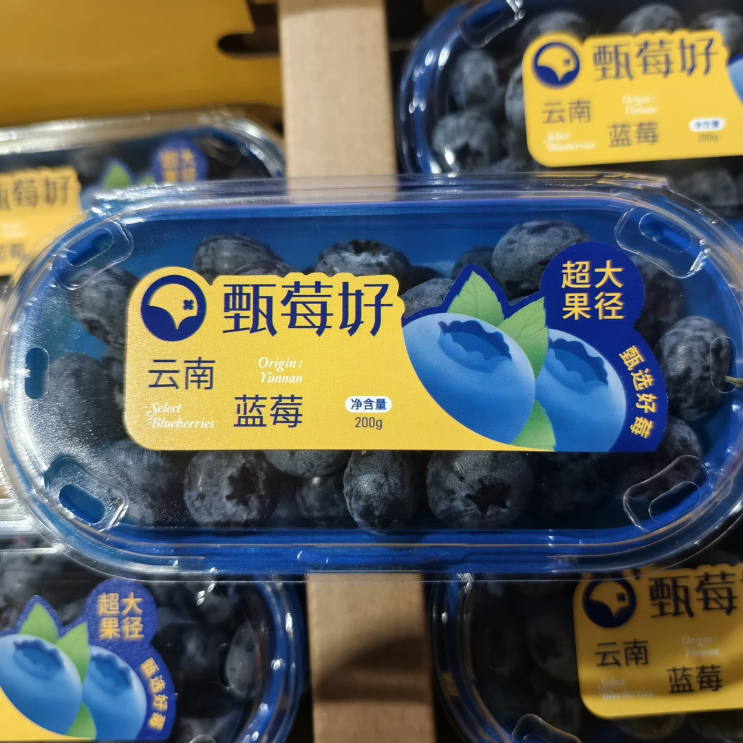 甄美好22+云南山地蓝莓多规格4盒净重800g起拍