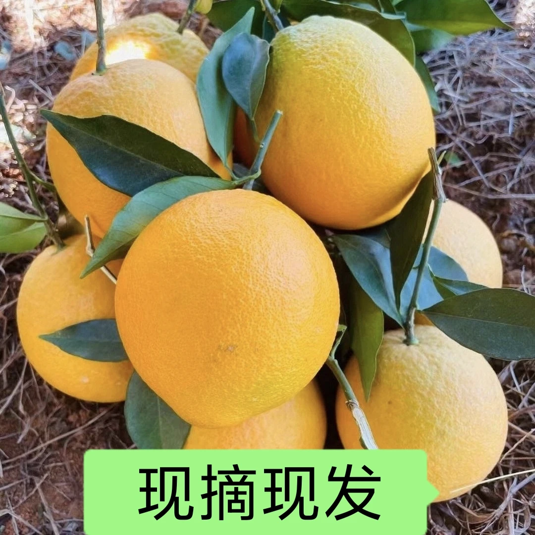 20斤装正宗赣南脐橙应季水果原产地现摘现发！顺丰发货