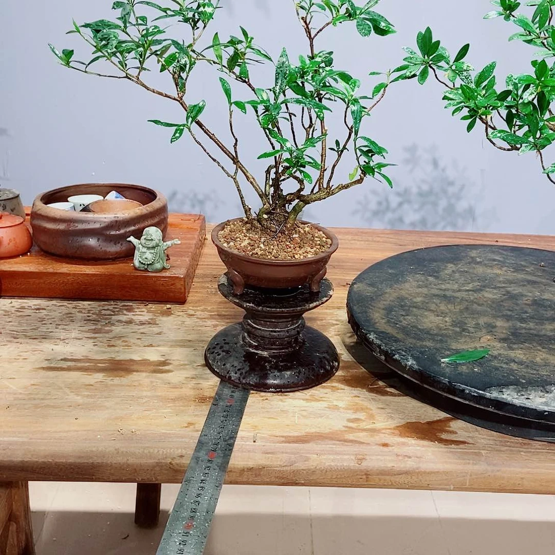 无花朵酒*＇感谢您的支持和配合和信任