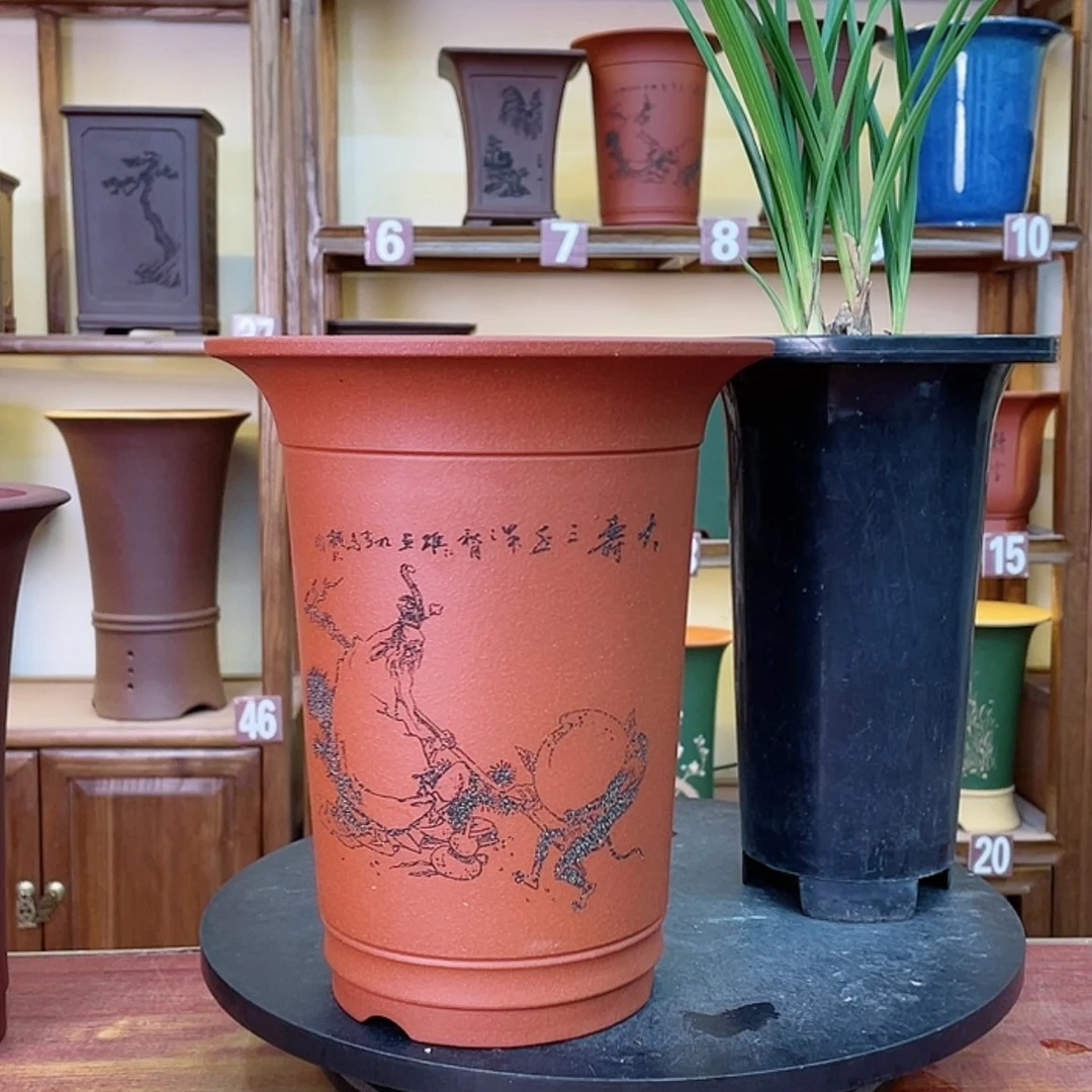 【闪购商品】紫砂花盆兰花255666622255558655