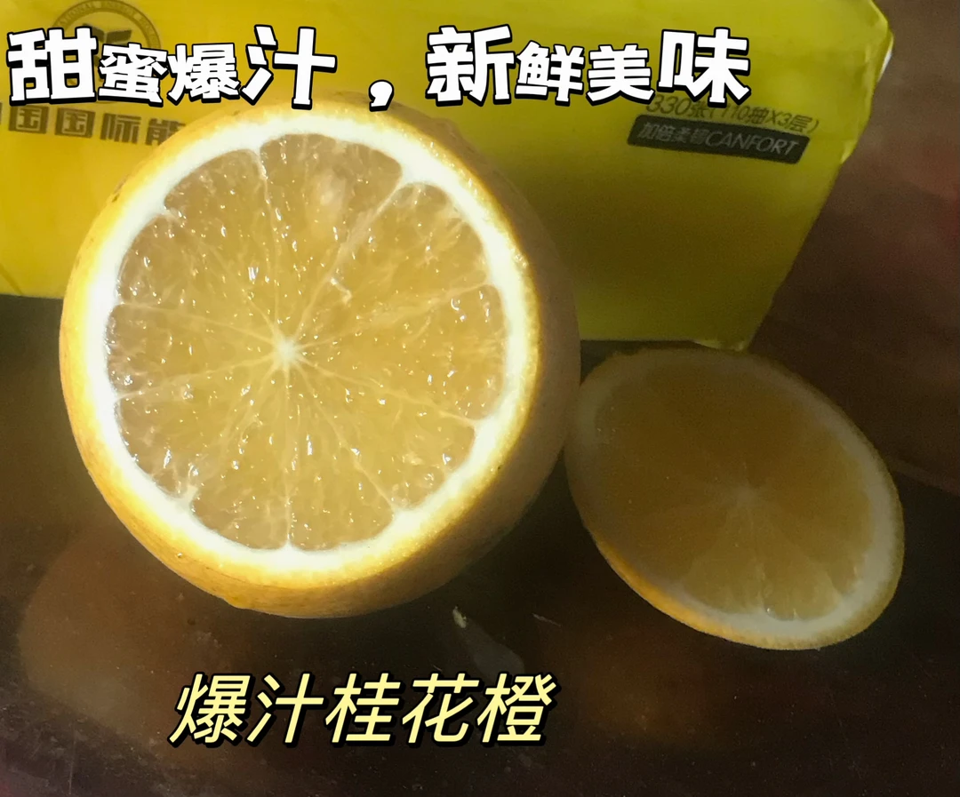 现摘漳州桂花橙香甜可口产地直发整箱