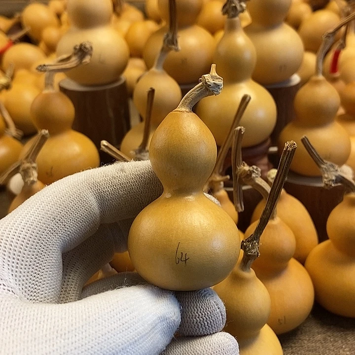 文玩葫芦 完美主义者 慎拍64