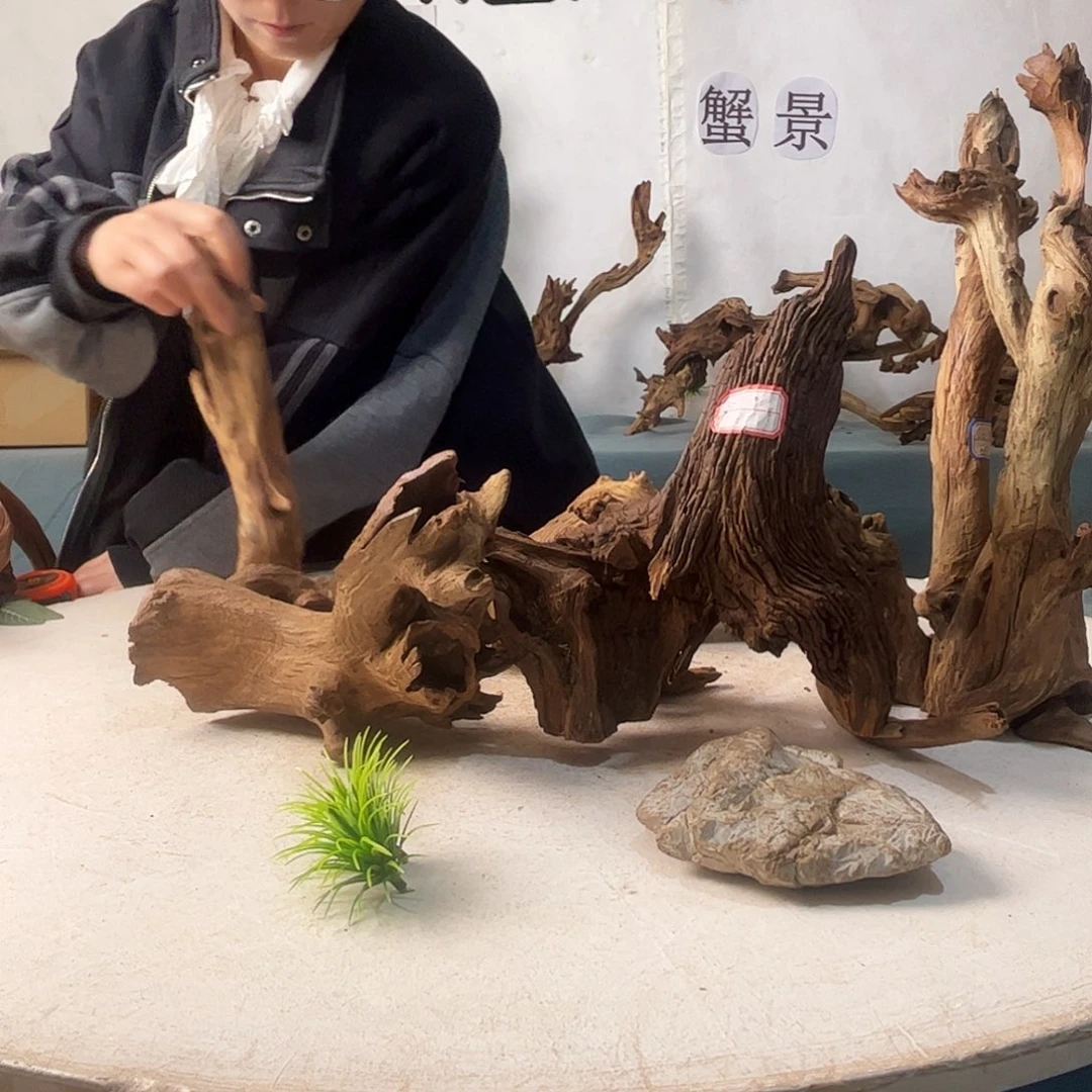 油**の沉木造景爬宠造景