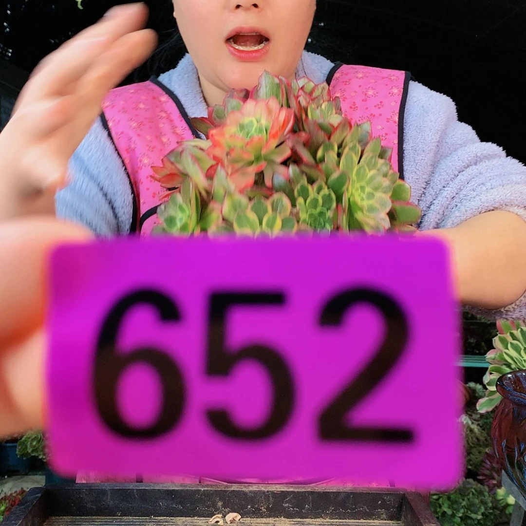 ssssssssssssssssssssssss652