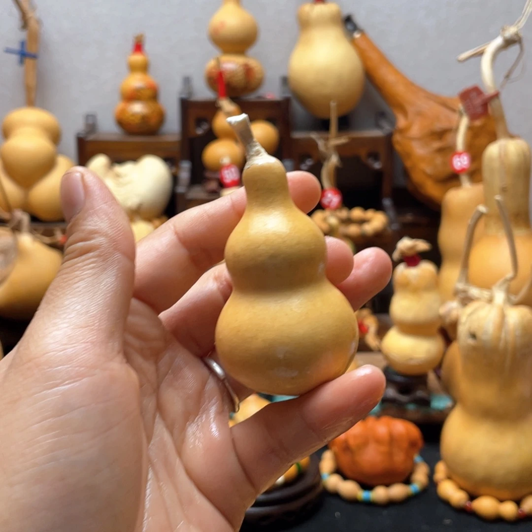 佳*大自然的秘密是什么呢