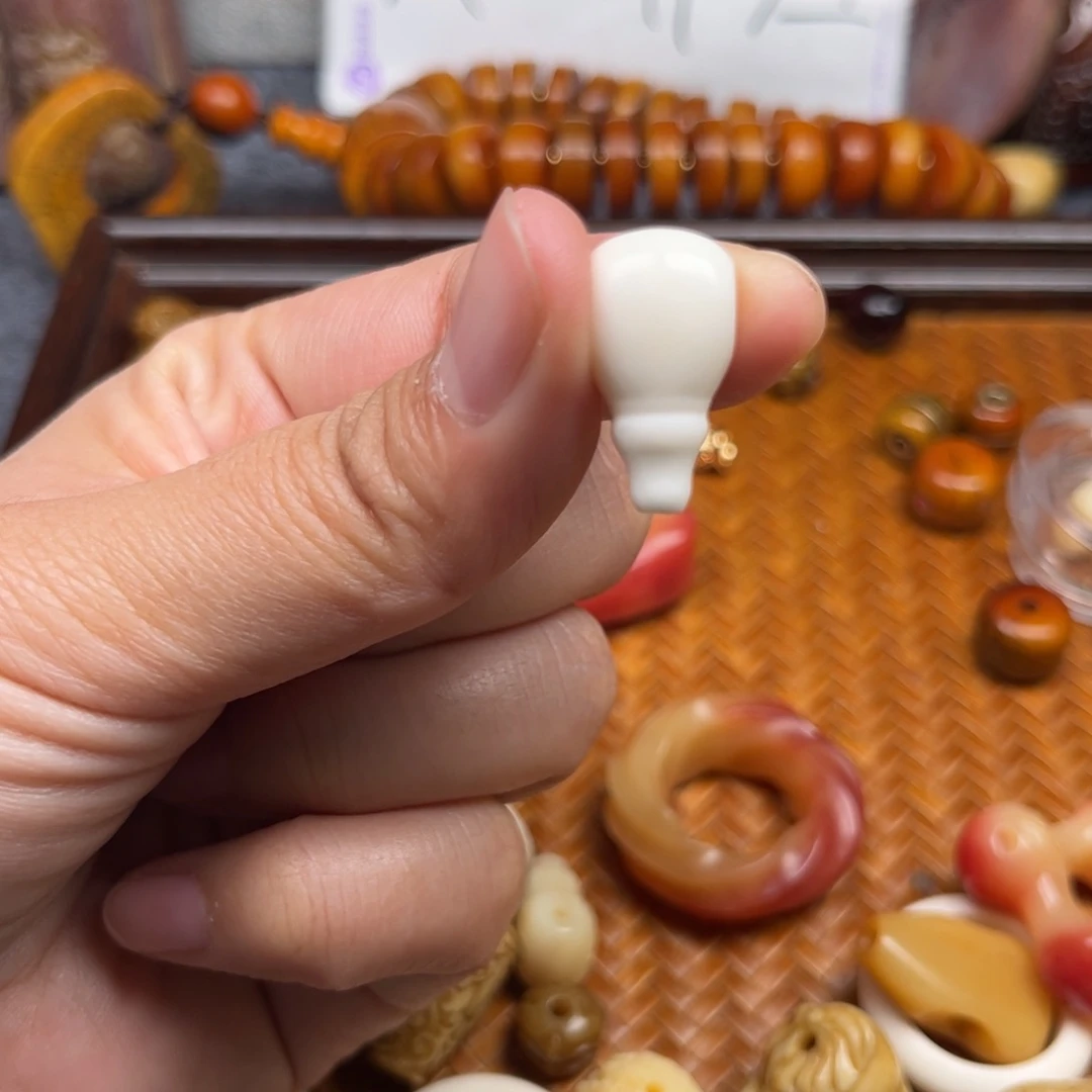 鹿骨其他人工养殖驼骨14